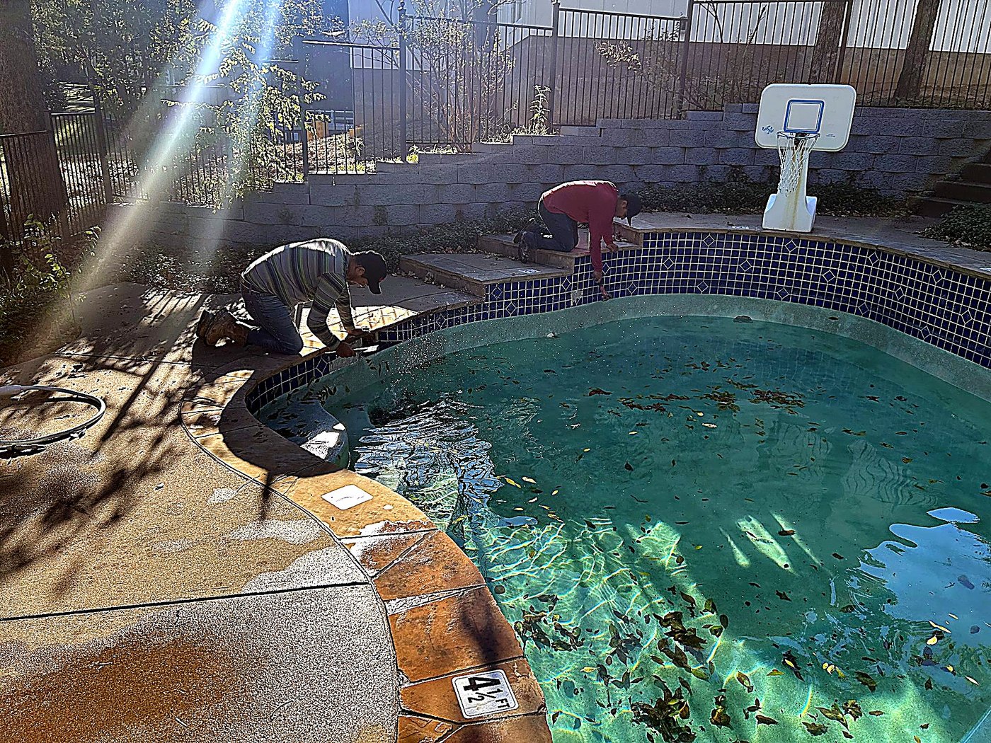 Mid-service on a route stop — leaf litter across the surface, the water still mid-clean